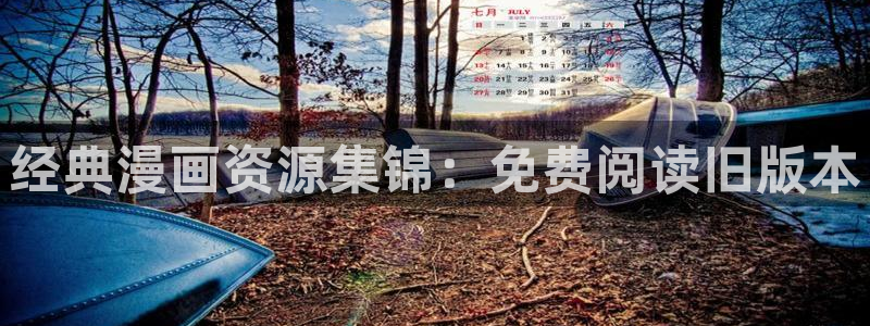 漫蛙漫画安卓版下载